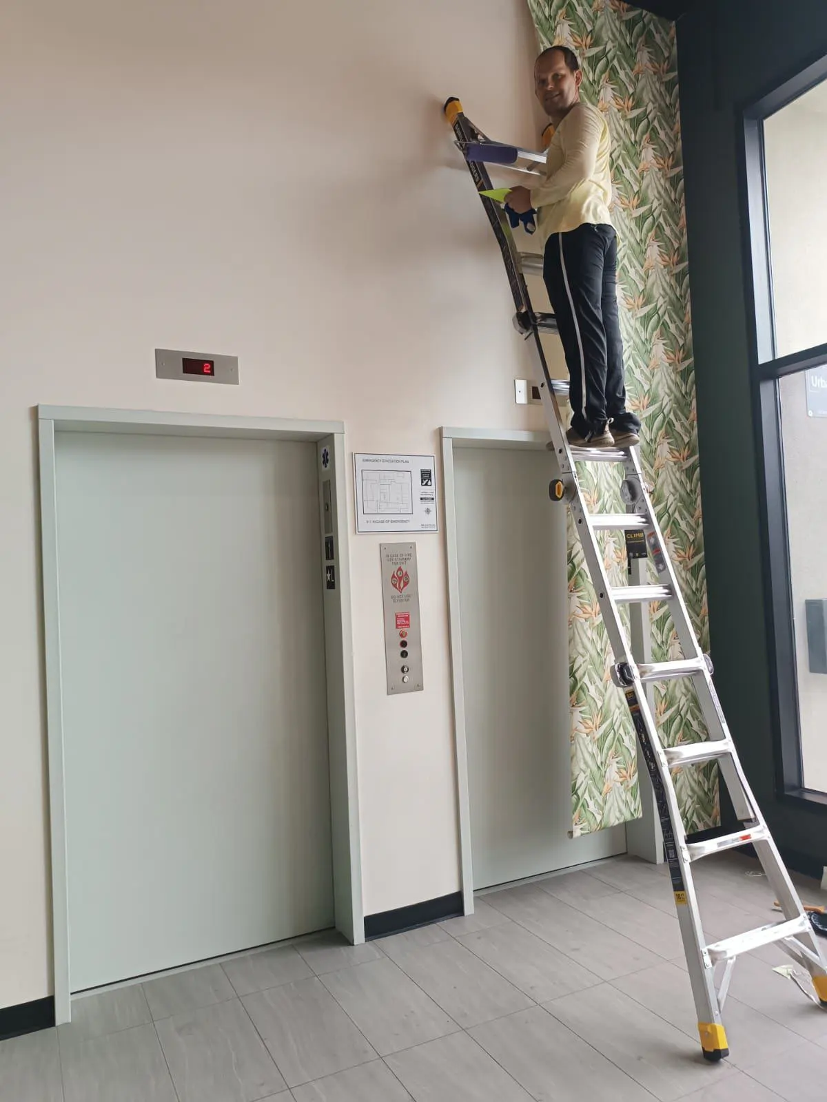 Professional wallpaper installer in Alamo Heights, San Antonio